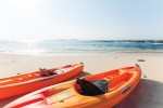 whether your idea of fun under the Baja sun runs to wine tasting or world-class golfing, salsa dancing or big-game sportfishing, Los Cabos has an activities company that's sure to meet your needs.