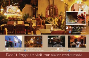 micasagroup
