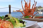 moxitos-beach-club-cabo-san-lucas-8