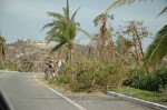 Palmilla