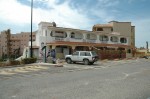 Coral Baja San José del Cabo