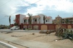 Coral Baja San José del Cabo