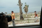 Cleaning Staff