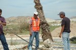Cleaning Staff