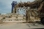 Cleaning Staff San José del Cabo
