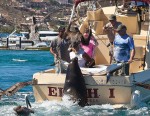 A hefty, sea lion greets anglers on their triumphant return to the Cabo San Lucas Marina.