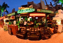 El Patio Choyero