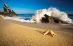 Pedregal Beach (Playa el Pedregal)