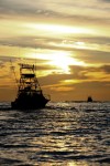 Boats at sunrise.